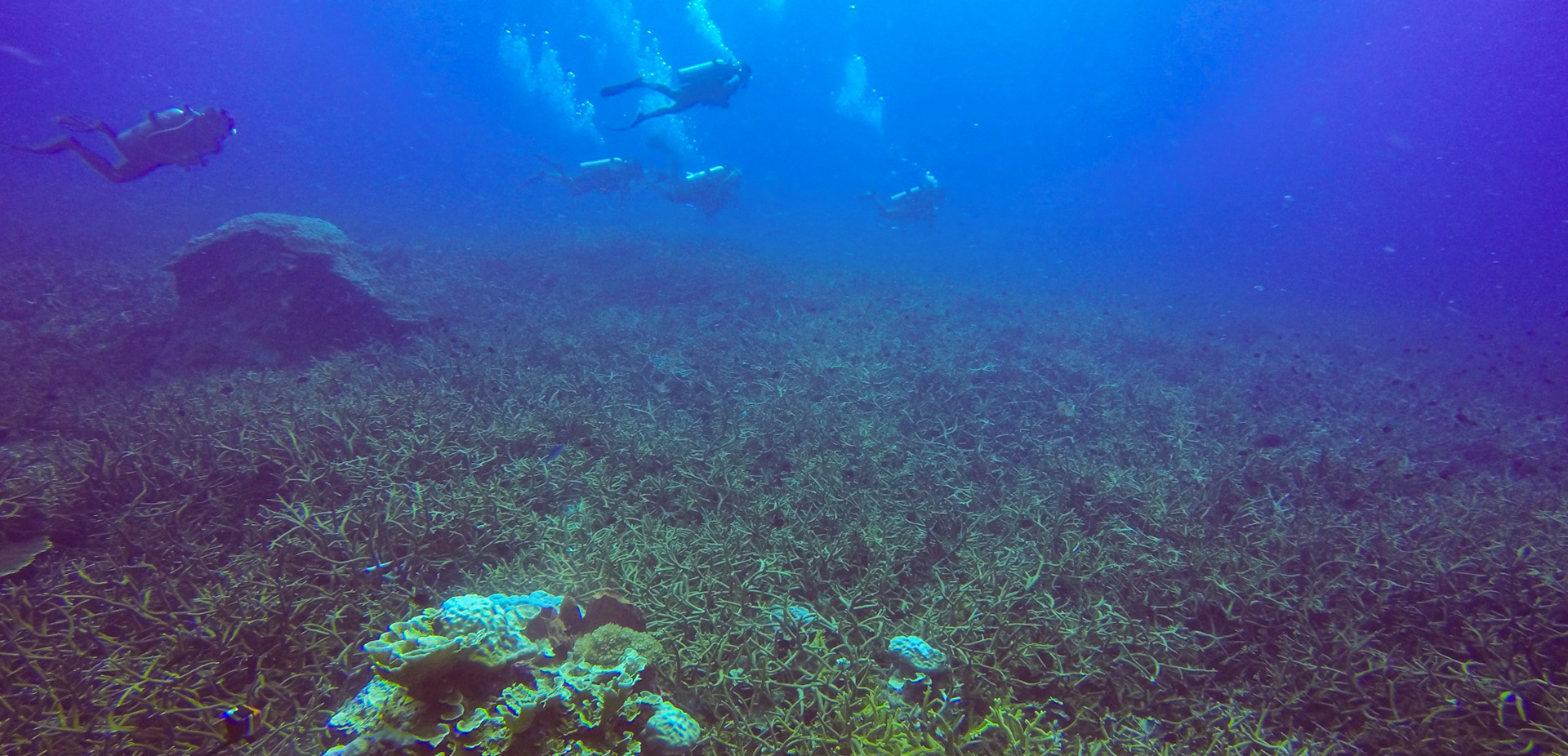 水處理技術要有全新的生態(tài)開發(fā)方向