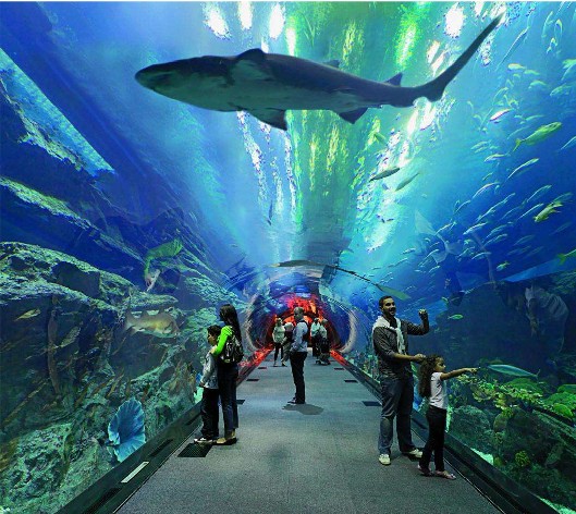 <b>海洋館水質如何處理？水處理系統是關鍵！</b>