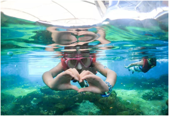 浮潛體驗館,浮潛館,國內浮潛體驗館 浮潛體驗館,浮潛館,國內浮潛體驗館