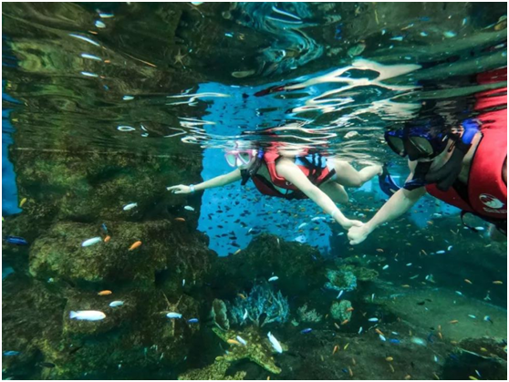 浮潛體驗館,浮潛館,國內浮潛體驗館 浮潛體驗館,浮潛館,國內浮潛體驗館