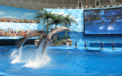 海洋館里的水怎么過濾？