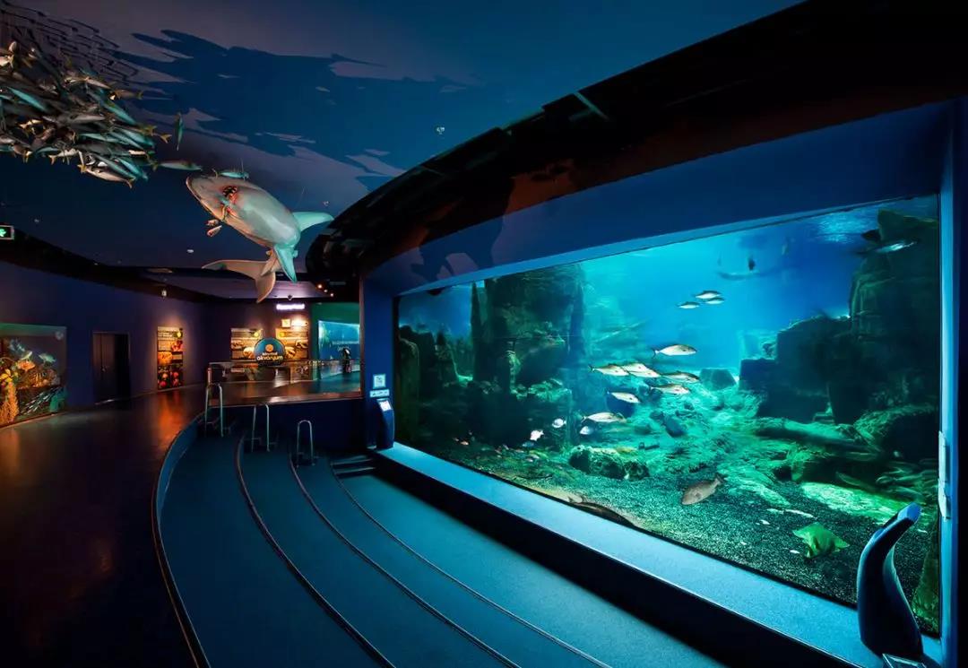 海洋館水質處理公司哪家好？