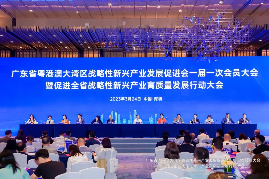 戴思樂集團當選“大灣區戰新會”副會長單位！