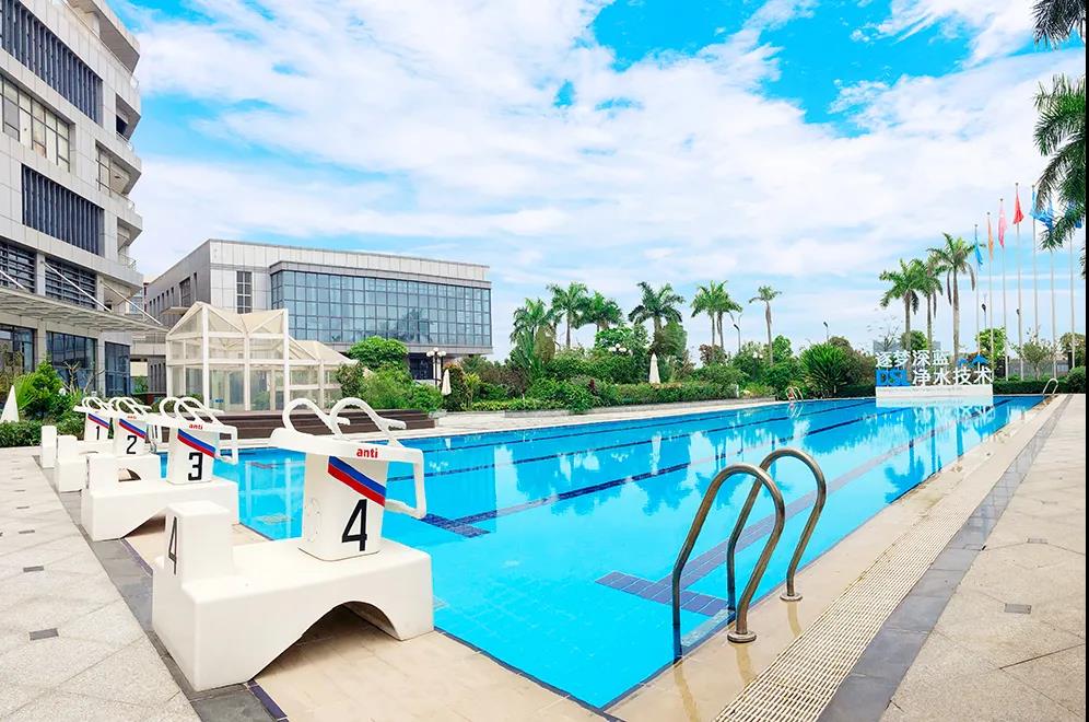 游泳池水循環系統,泳池凈化系統