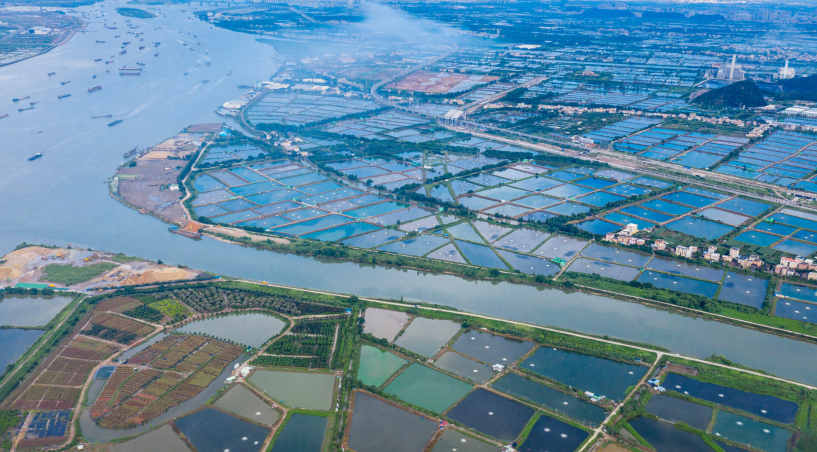 打造綠色魚塘，實現尾水治理與生態共贏？