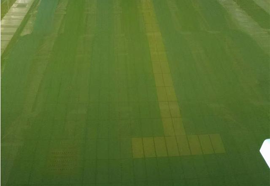 為什么游泳池的水會經(jīng)常變綠？處理方法有哪些？