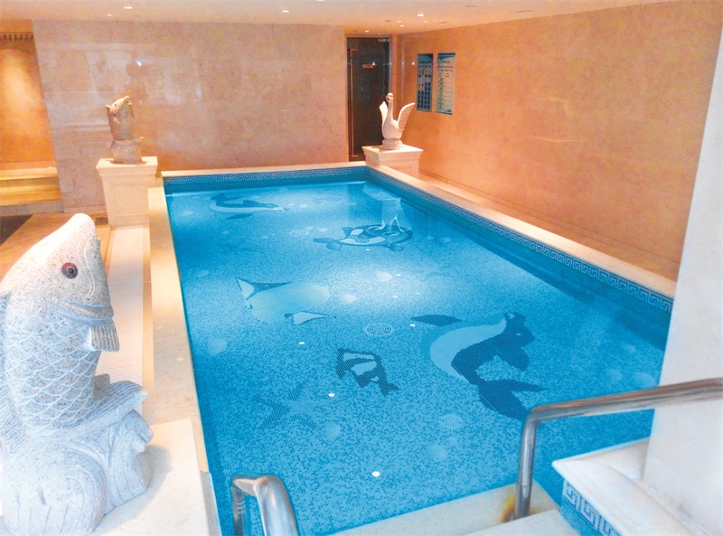 游泳池水泵,泳池水泵,游泳池循環泵