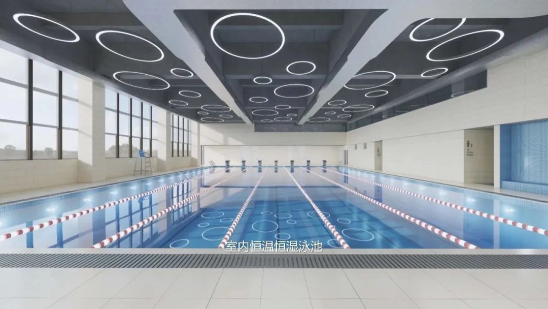 恒溫游泳池,學校游泳池,室內恒溫游泳池