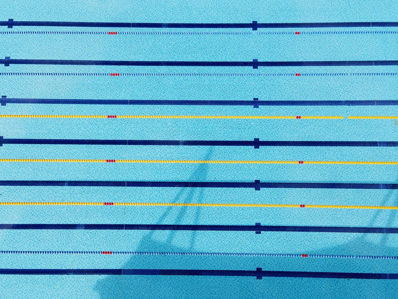 <b>泳池水處理藥劑招商，熱門商機誠邀加盟！</b>