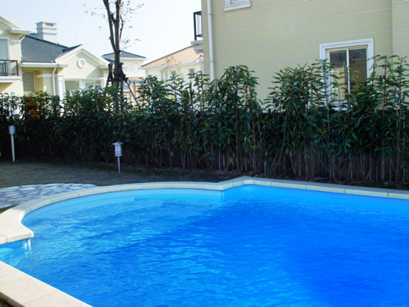 游泳池水質處理技巧,游泳池水質處理,游泳池水質處理方法